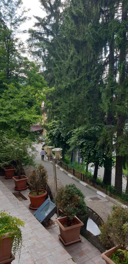 Rosa Villa Băile Olăneşti Exteriör bild