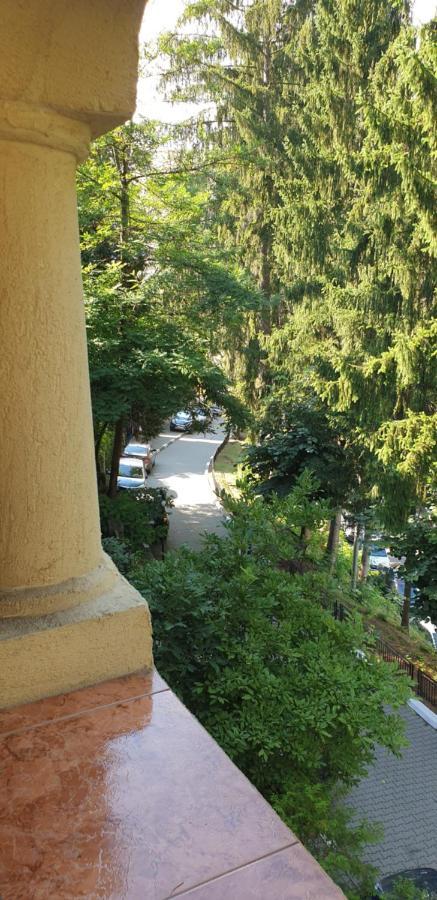 Rosa Villa Băile Olăneşti Exteriör bild