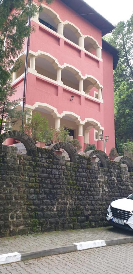 Rosa Villa Băile Olăneşti Exteriör bild