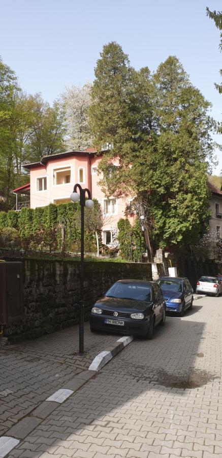 Rosa Villa Băile Olăneşti Exteriör bild