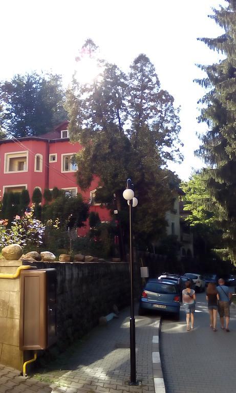 Rosa Villa Băile Olăneşti Exteriör bild