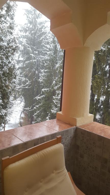 Rosa Villa Băile Olăneşti Exteriör bild